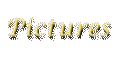 Photographs